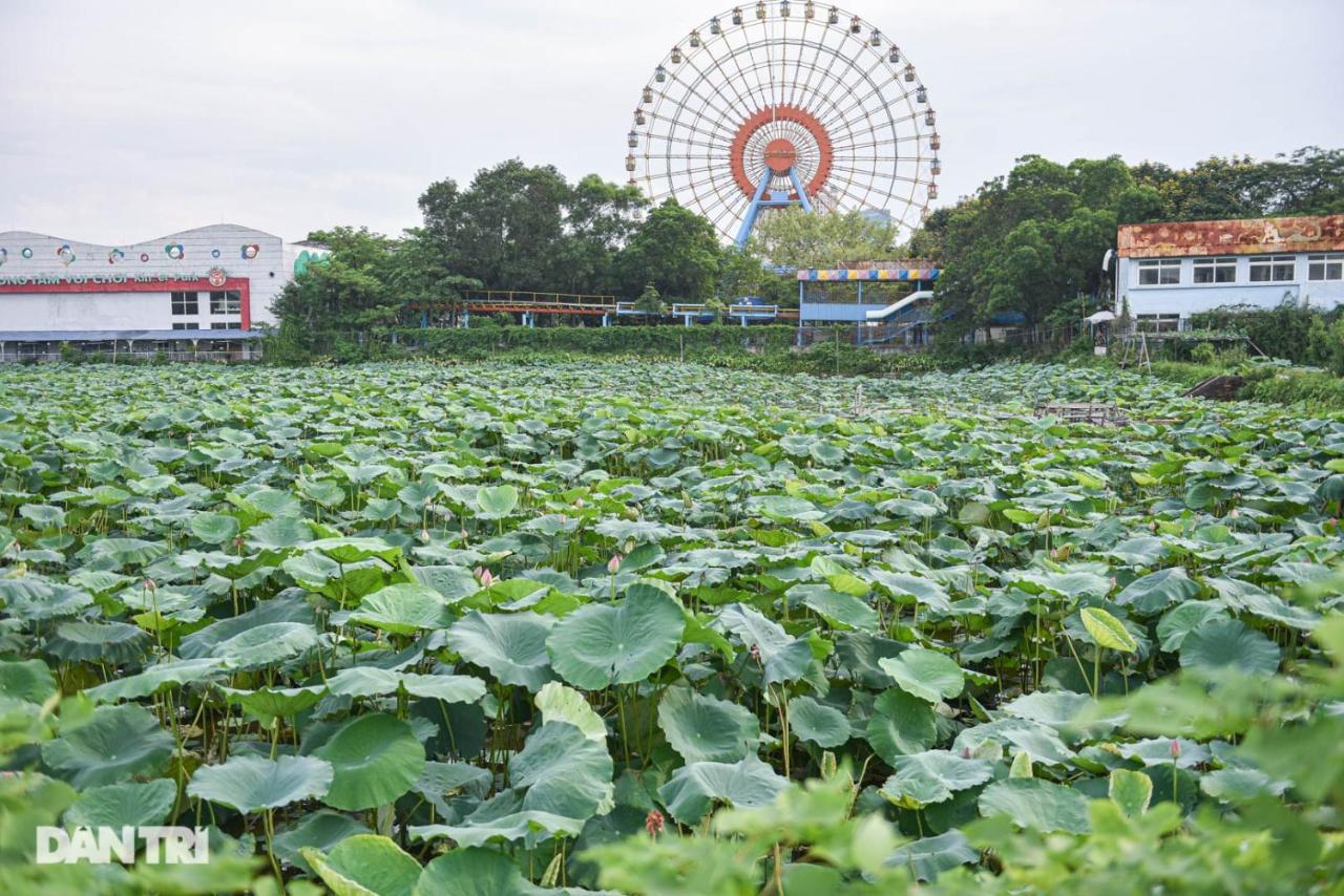अपार्टमेंट Price Ho Guom For Long Hanoi